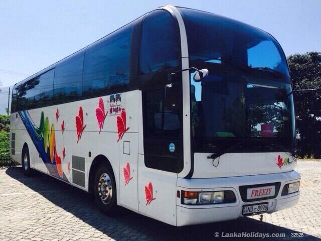 any Bus/Coach